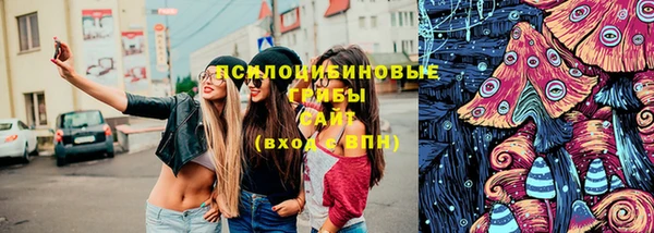 марки lsd Инта