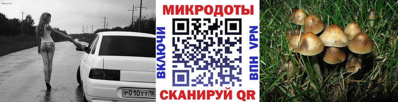 Купить закладки  Ивдель  Галлюциногенные грибы мухоморы 